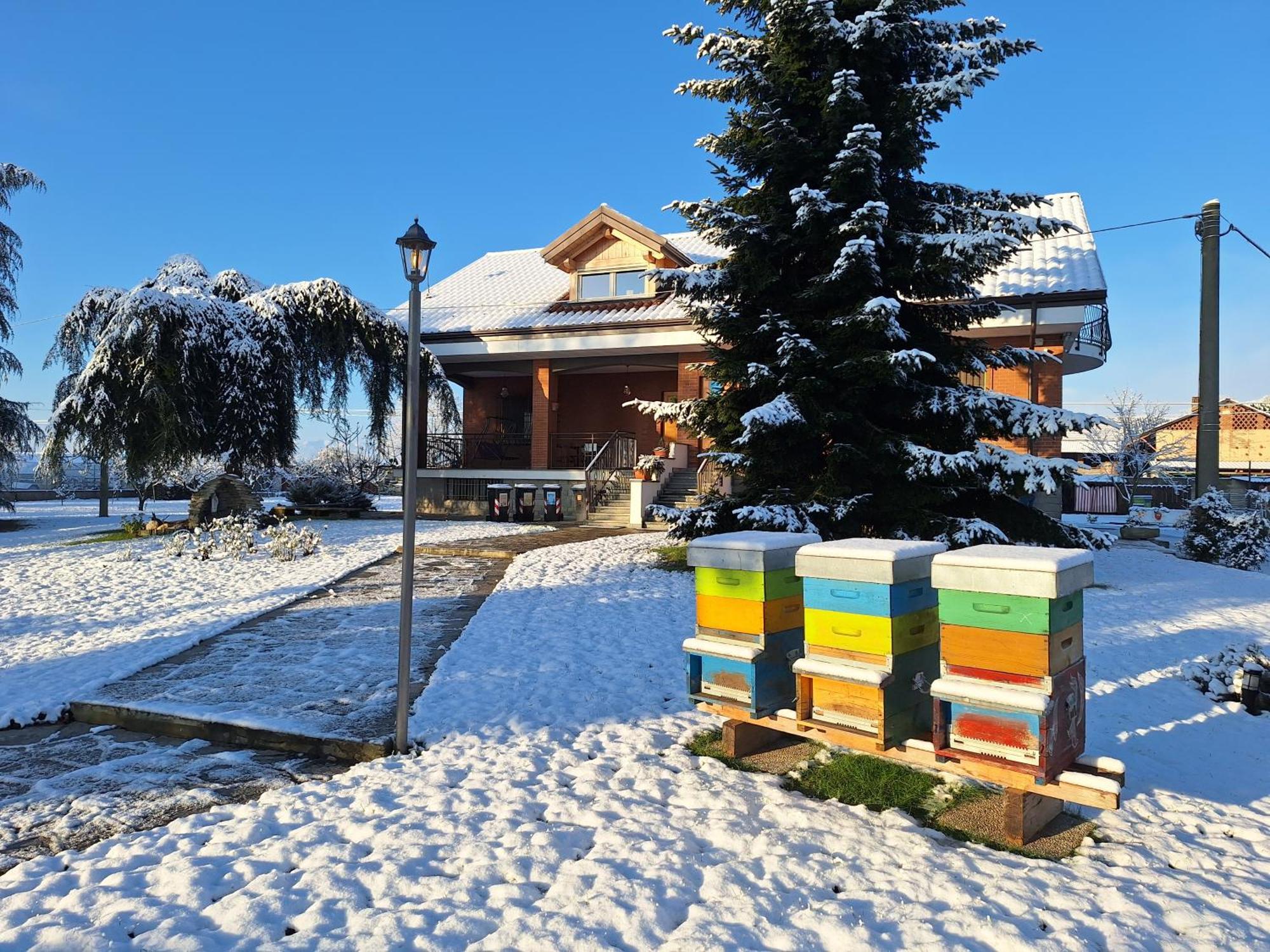 Casa Matilde Villa Leinì Екстериор снимка