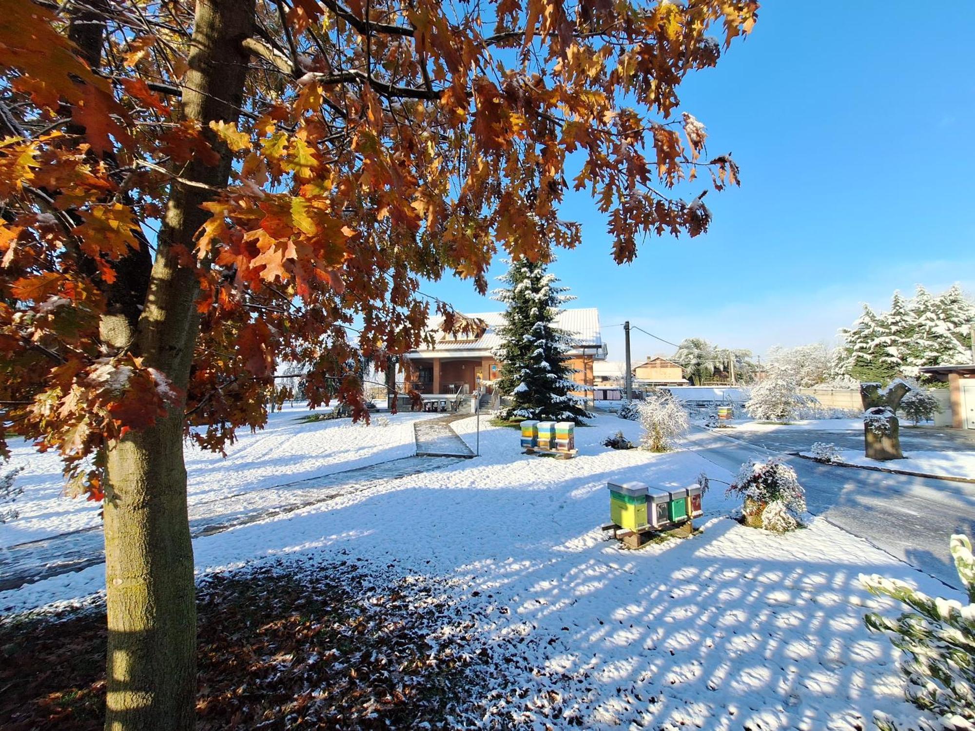 Casa Matilde Villa Leinì Екстериор снимка