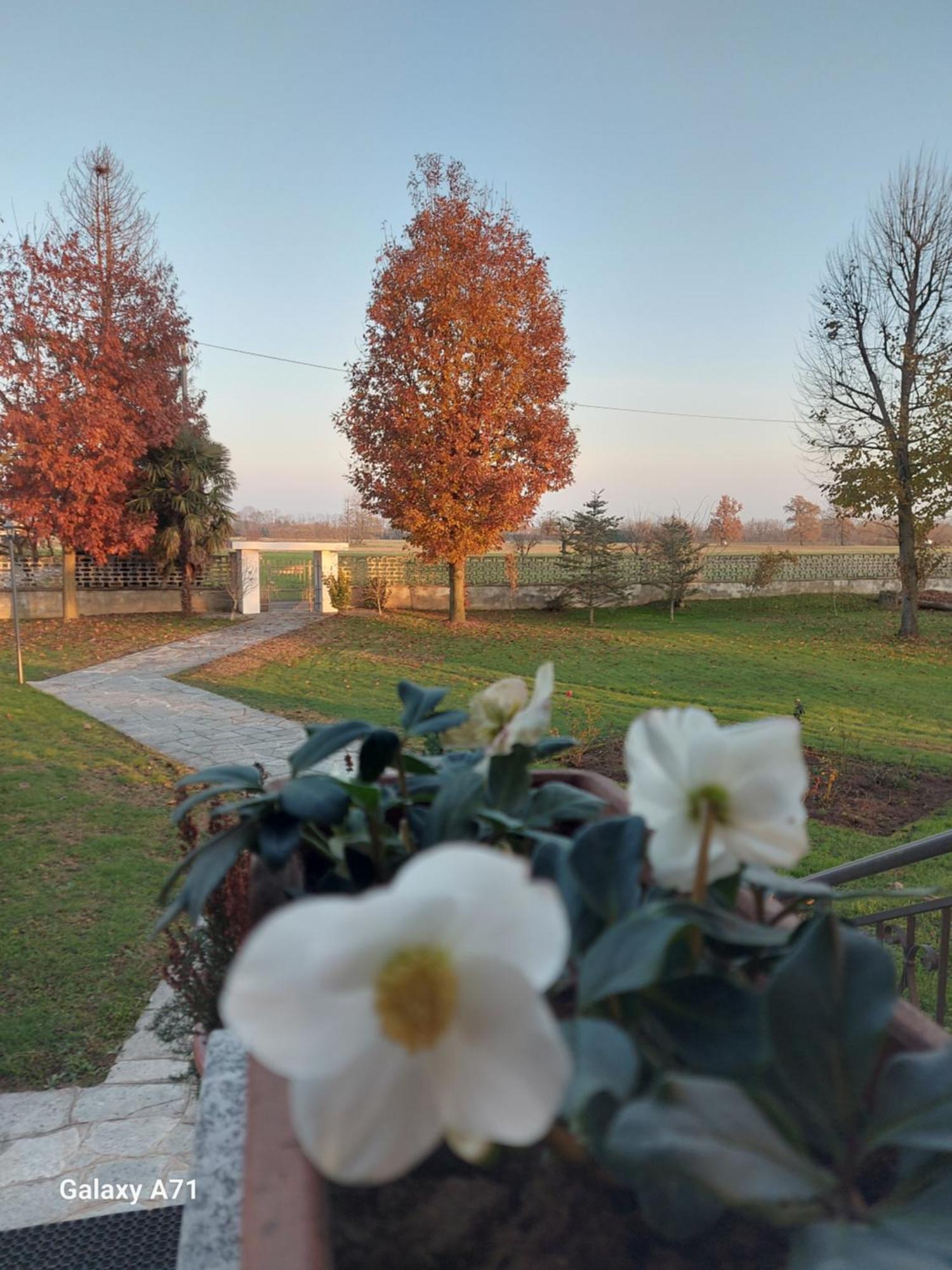 Casa Matilde Villa Leinì Екстериор снимка